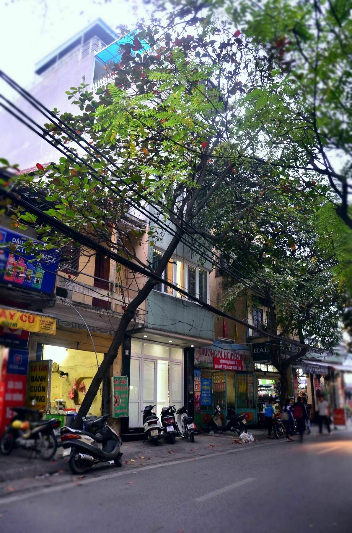Bee House - Near Hanoi Opera House, Hoan Kiem Екстер'єр фото